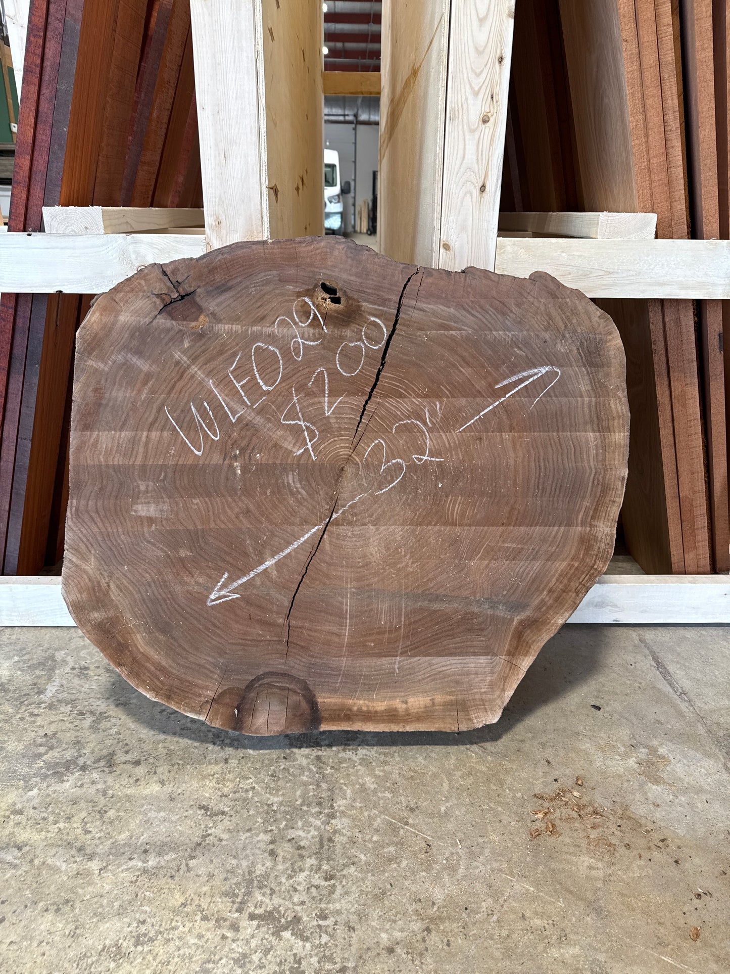 Walnut Cookie WLE029