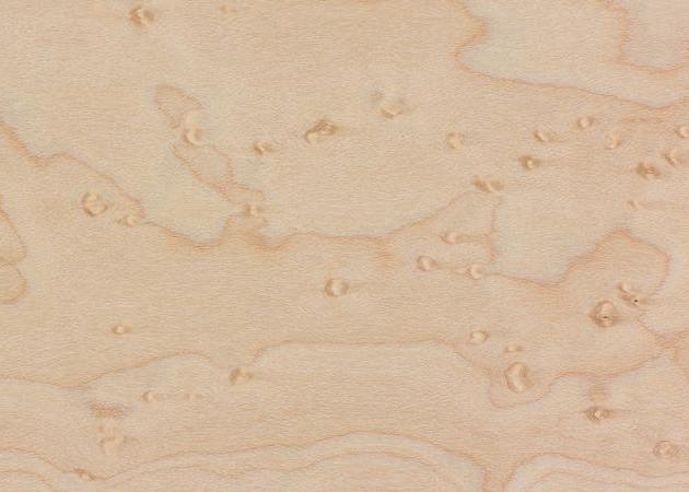 Bird's Eye Maple Hardwood Closeup