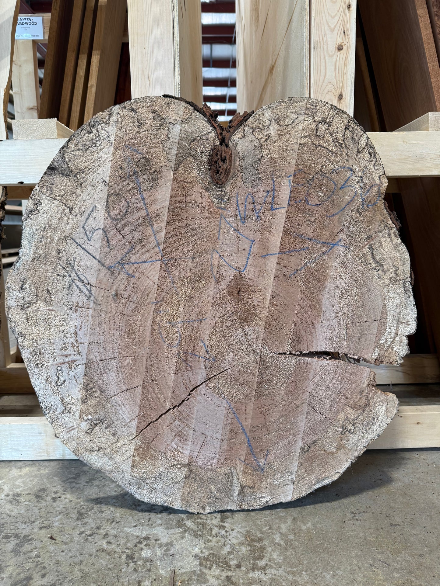 Spalted Maple Cookie WLE036