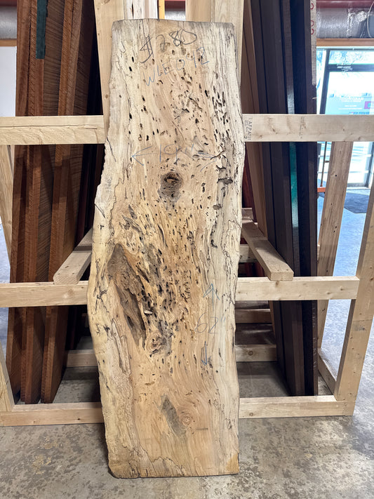 Spalted Maple Slab WLE042