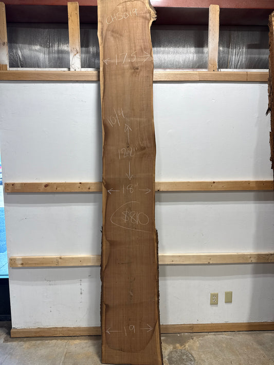 Walnut Slab CHS019
