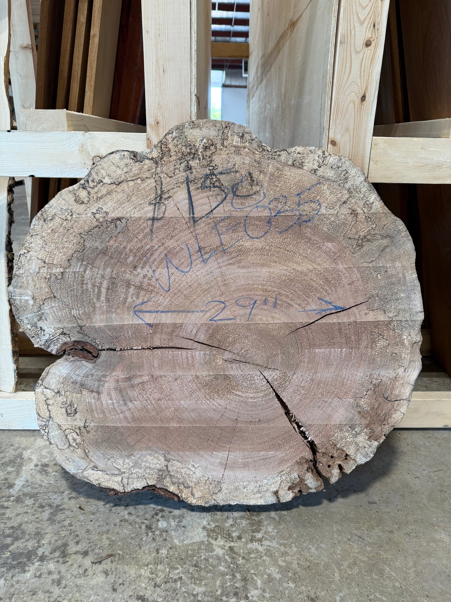 Spalted Maple Cookie WLE035