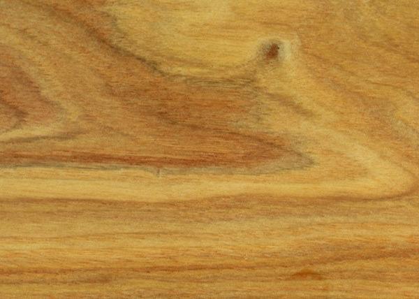 Canarywood Exotic Hardwood Lumber Grain Detail