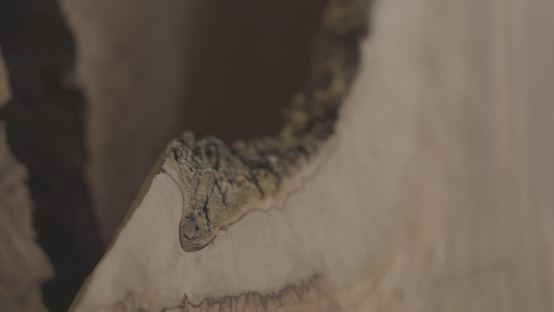 Load video: About Capital Hardwood in Madison, WI. Your local Hardwood Lumber Store